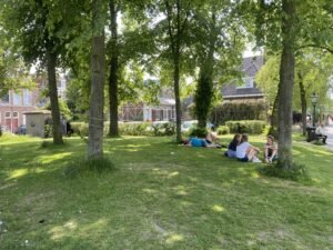 Duurzaamheid in de leefomgeving